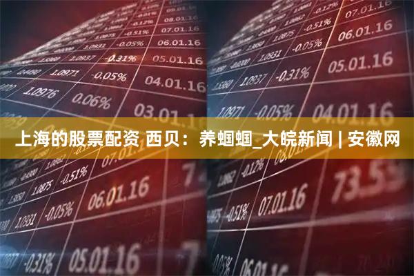 上海的股票配资 西贝：养蝈蝈_大皖新闻 | 安徽网
