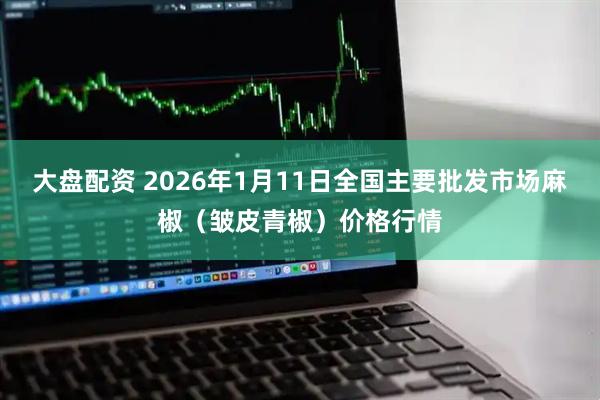 大盘配资 2026年1月11日全国主要批发市场麻椒（皱皮青椒）价格行情